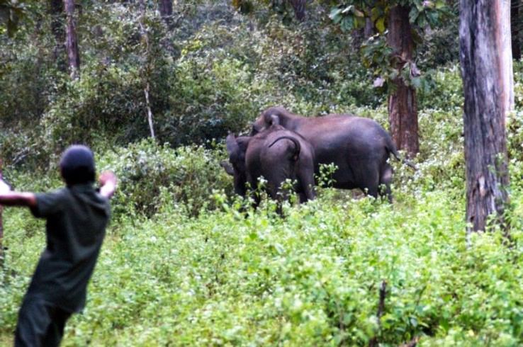 10- Annamalai Wildlife Sanctuary